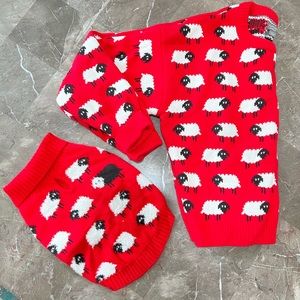 Matching human and dog sweater set